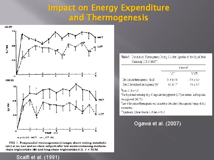 Impact on Energy Expenditure and Thermogenesis Ogawa et al. (2007) Scalfi et al. (1991)