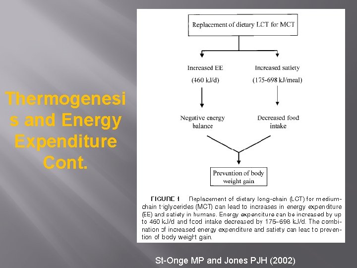 Thermogenesi s and Energy Expenditure Cont. St-Onge MP and Jones PJH (2002) 