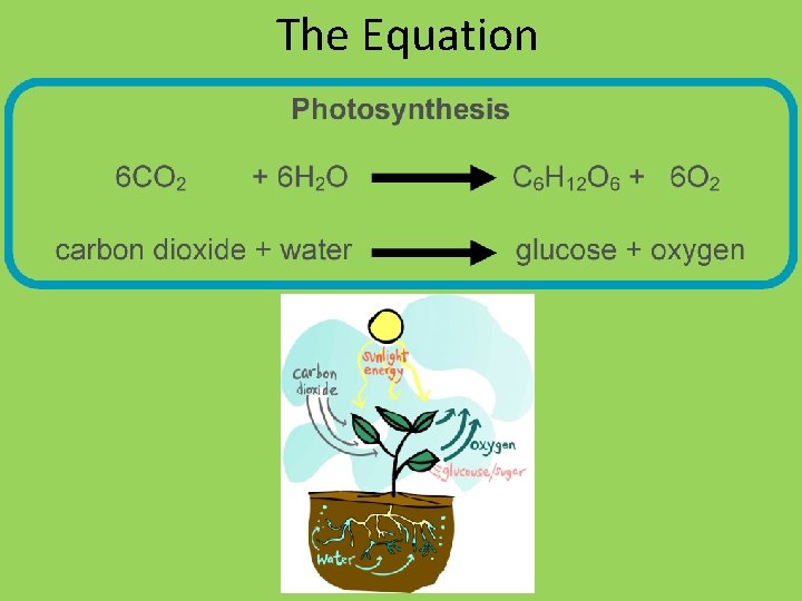The Equation 