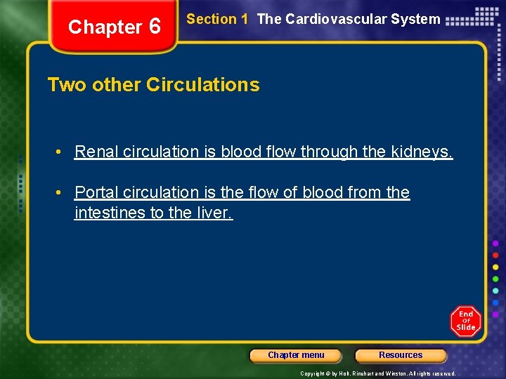 Chapter 6 Section 1 The Cardiovascular System Two other Circulations • Renal circulation is