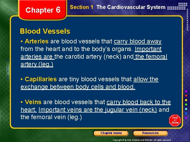 Chapter 6 Section 1 The Cardiovascular System Blood Vessels • Arteries are blood vessels