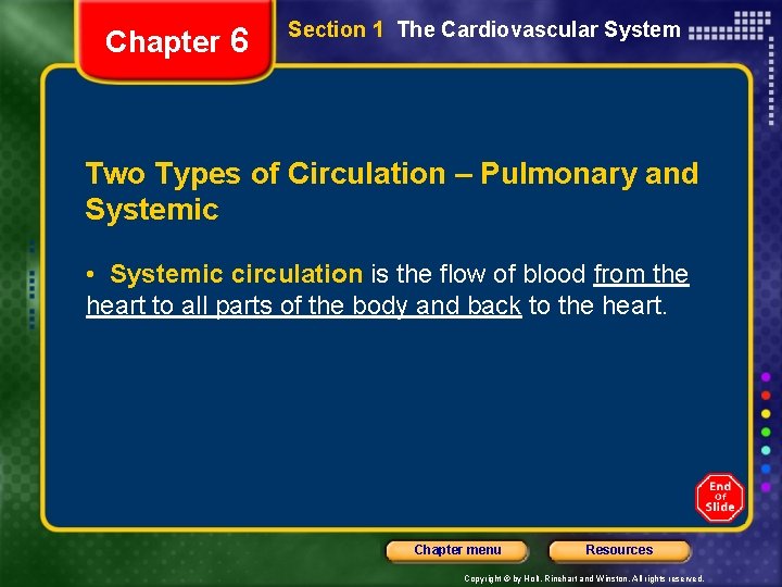 Chapter 6 Section 1 The Cardiovascular System Two Types of Circulation – Pulmonary and