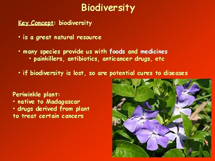 Biodiversity Key Concept: biodiversity • is a great natural resource • many species provide