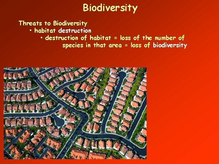 Biodiversity Threats to Biodiversity • habitat destruction • destruction of habitat = loss of