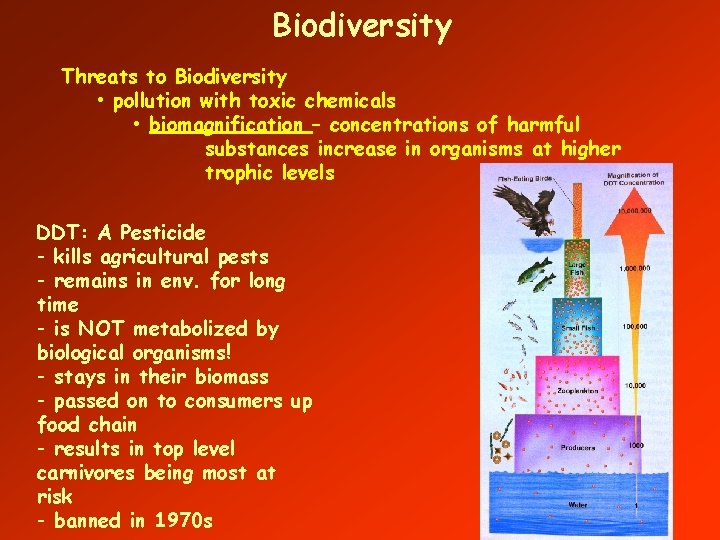 Biodiversity Threats to Biodiversity • pollution with toxic chemicals • biomagnification – concentrations of