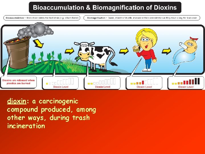 dioxin: a carcinogenic compound produced, among other ways, during trash incineration 