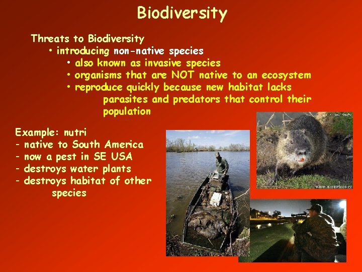 Biodiversity Threats to Biodiversity • introducing non-native species • also known as invasive species