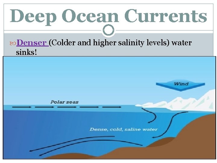 Deep Ocean Currents Denser (Colder and higher salinity levels) water sinks! 