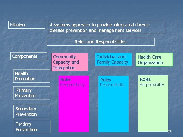 Mission A systems approach to provide integrated chronic disease prevention and management services Roles