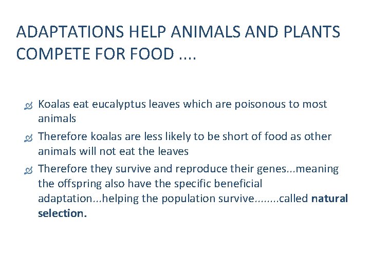 ADAPTATIONS HELP ANIMALS AND PLANTS COMPETE FOR FOOD. . Koalas eat eucalyptus leaves which