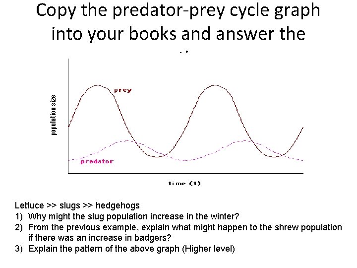 Copy the predator-prey cycle graph into your books and answer the questions Lettuce >>