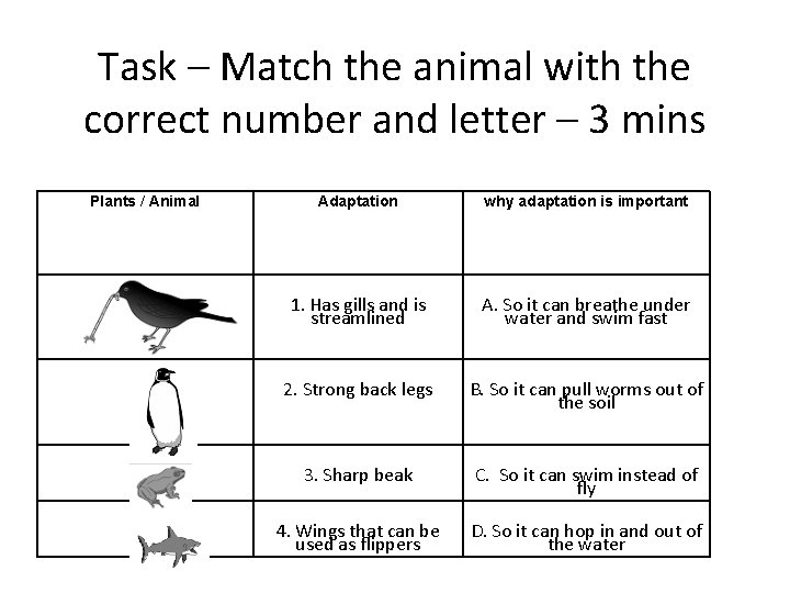 Task – Match the animal with the correct number and letter – 3 mins