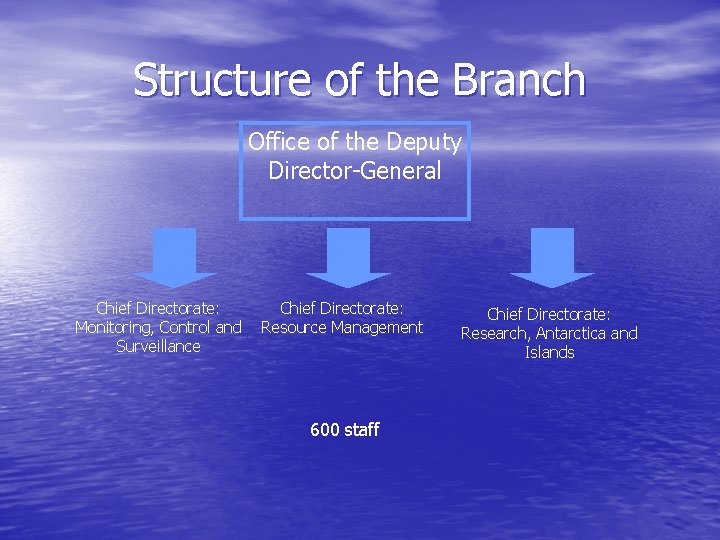 Structure of the Branch Office of the Deputy Director-General Chief Directorate: Monitoring, Control and