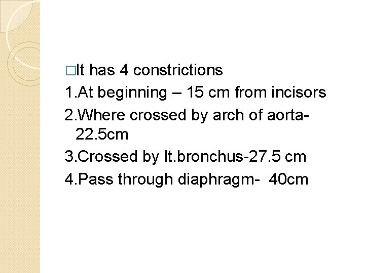 �It has 4 constrictions 1. At beginning – 15 cm from incisors 2. Where