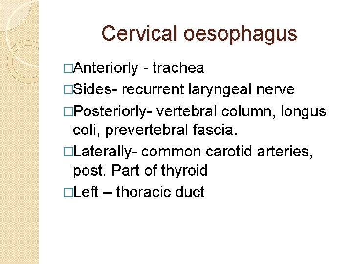 Cervical oesophagus �Anteriorly - trachea �Sides- recurrent laryngeal nerve �Posteriorly- vertebral column, longus coli,