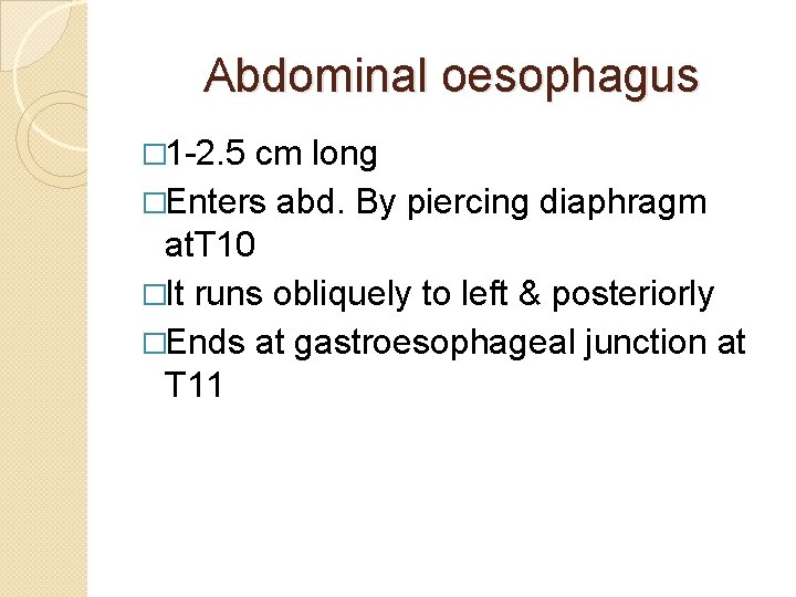 Abdominal oesophagus � 1 -2. 5 cm long �Enters abd. By piercing diaphragm at.