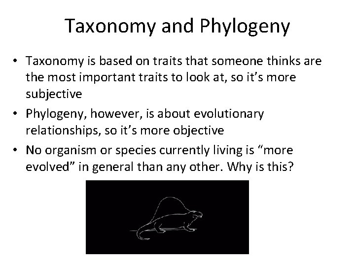 Taxonomy and Phylogeny • Taxonomy is based on traits that someone thinks are the