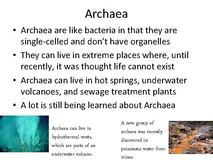 Archaea • Archaea are like bacteria in that they are single-celled and don’t have