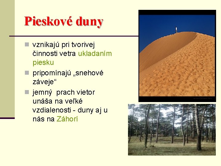 Pieskové duny n vznikajú pri tvorivej činnosti vetra ukladaním piesku n pripomínajú „snehové záveje“