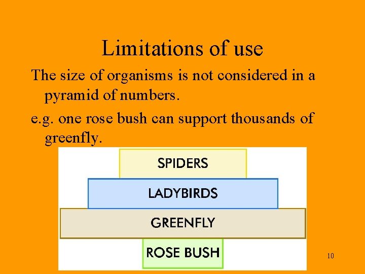 Limitations of use The size of organisms is not considered in a pyramid of