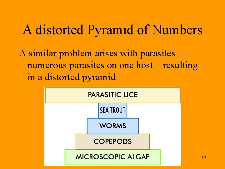 A distorted Pyramid of Numbers A similar problem arises with parasites – numerous parasites