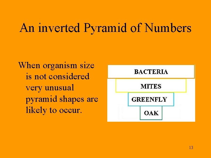 An inverted Pyramid of Numbers When organism size is not considered very unusual pyramid