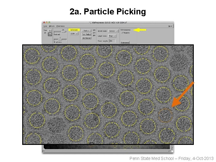 2 a. Particle Picking Penn State Med School – Friday, 4 -Oct-2013 