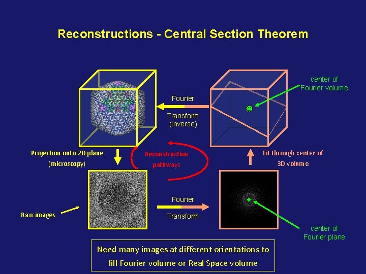 Reconstructions - Central Section Theorem center of Fourier volume Fourier Transform (inverse) Projection onto