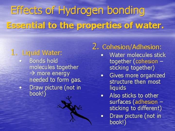 Effects of Hydrogen bonding Essential to the properties of water. 1. Liquid Water: •