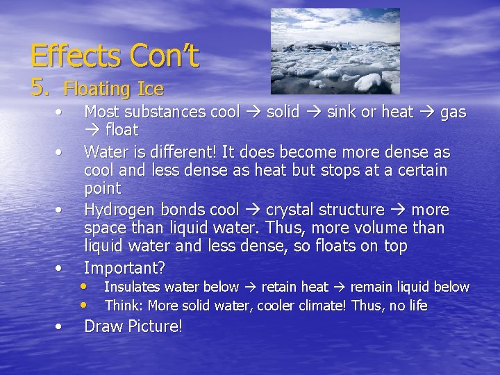 Effects Con’t 5. Floating Ice • • • Most substances cool solid sink or