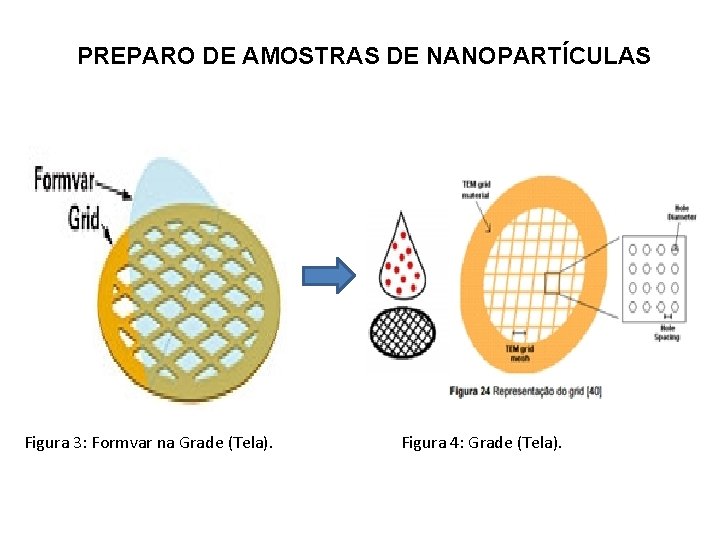 PREPARO DE AMOSTRAS DE NANOPARTÍCULAS Figura 3: Formvar na Grade (Tela). Figura 4: Grade