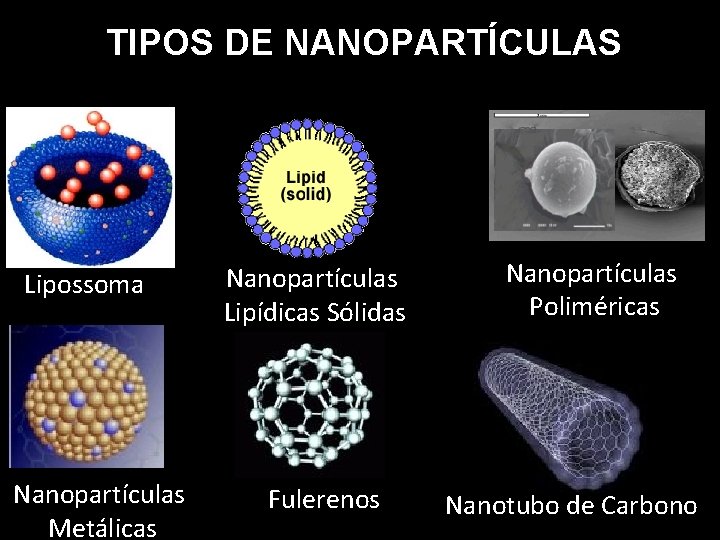 TIPOS DE NANOPARTÍCULAS Lipossoma Nanopartículas Metálicas Nanopartículas Lipídicas Sólidas Fulerenos Nanopartículas Poliméricas Nanotubo de