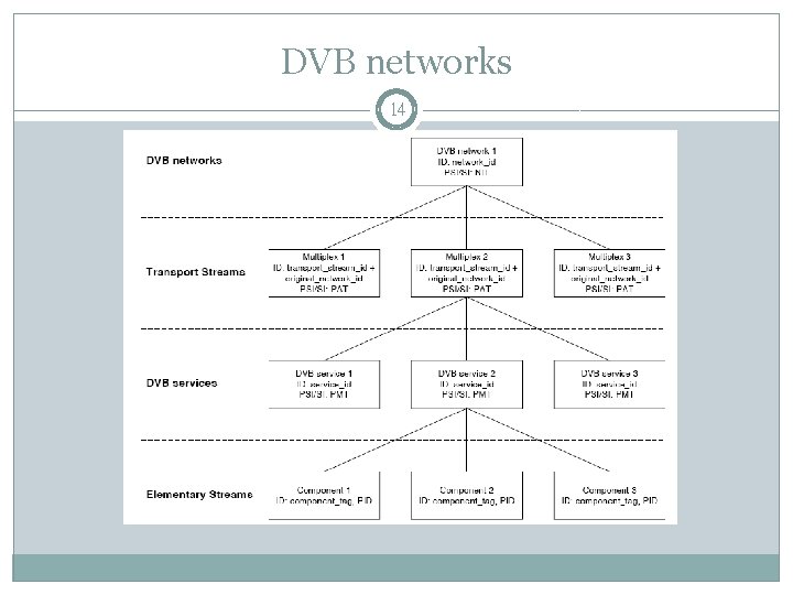 DVB networks 14 