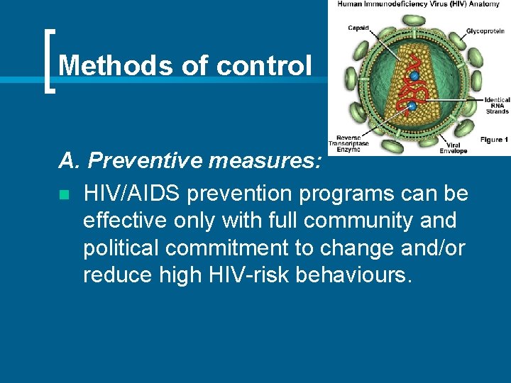 Methods of control A. Preventive measures: n HIV/AIDS prevention programs can be effective only