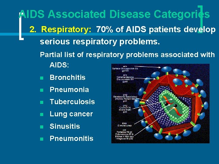 AIDS Associated Disease Categories 2. Respiratory: 70% of AIDS patients develop serious respiratory problems.