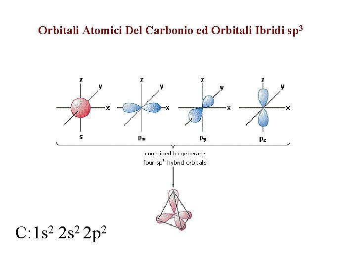 Orbitali Atomici Del Carbonio ed Orbitali Ibridi sp 3 C: 1 s 2 2