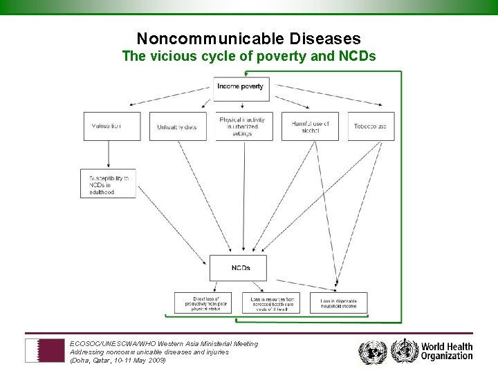 Noncommunicable Diseases The vicious cycle of poverty and NCDs ECOSOC/UNESCWA/WHO Western Asia Ministerial Meeting