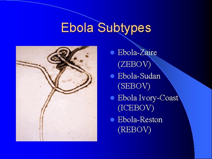 Ebola Subtypes Ebola-Zaire (ZEBOV) l Ebola-Sudan (SEBOV) l Ebola Ivory-Coast (ICEBOV) l Ebola-Reston (REBOV)