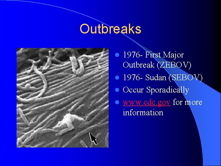 Outbreaks 1976 - First Major Outbreak (ZEBOV) l 1976 - Sudan (SEBOV) l Occur