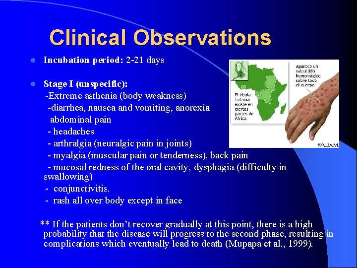 Clinical Observations l Incubation period: 2 -21 days l Stage I (unspecific): -Extreme asthenia