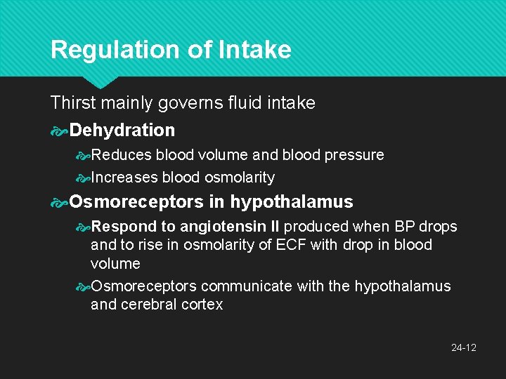 Regulation of Intake Thirst mainly governs fluid intake Dehydration Reduces blood volume and blood