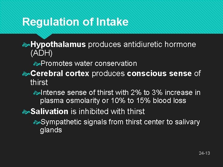 Regulation of Intake Hypothalamus produces antidiuretic hormone (ADH) Promotes water conservation Cerebral cortex produces