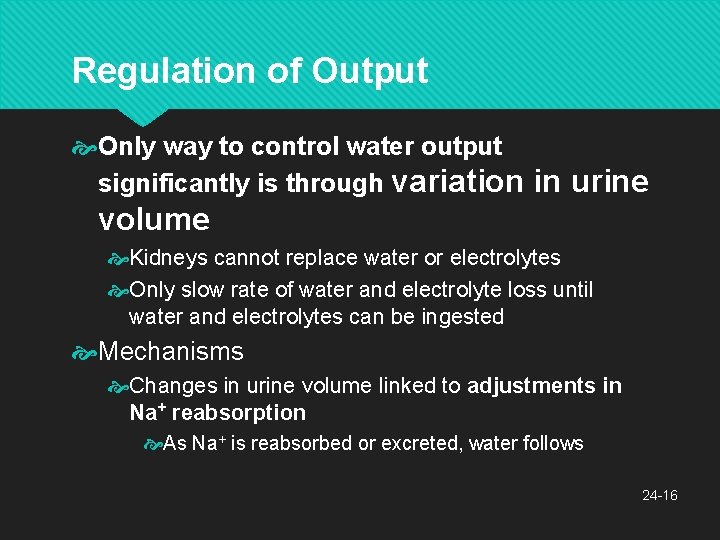 Regulation of Output Only way to control water output significantly is through variation in