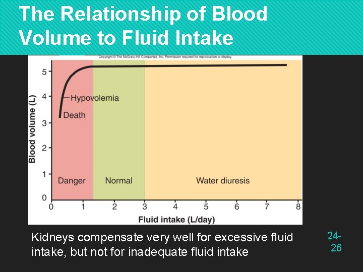 The Relationship of Blood Volume to Fluid Intake Kidneys compensate very well for excessive