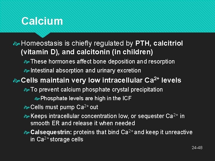 Calcium Homeostasis is chiefly regulated by PTH, calcitriol (vitamin D), and calcitonin (in children)