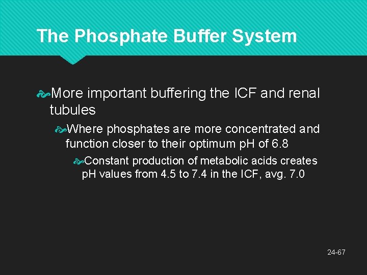 The Phosphate Buffer System More important buffering the ICF and renal tubules Where phosphates