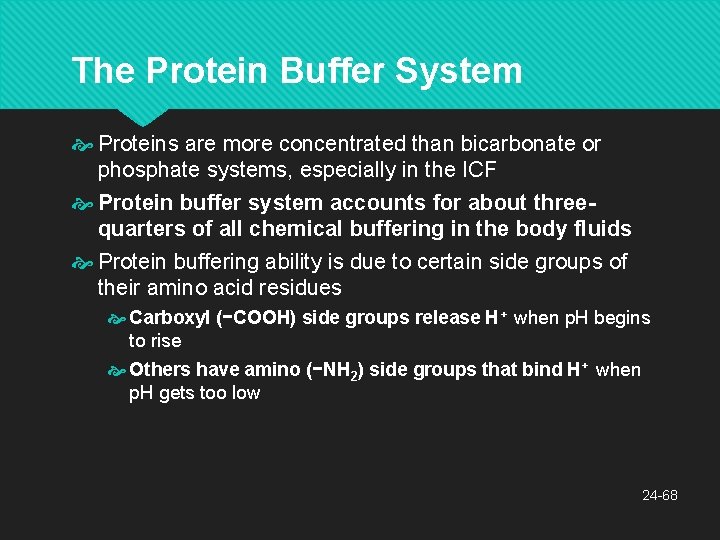 The Protein Buffer System Proteins are more concentrated than bicarbonate or phosphate systems, especially