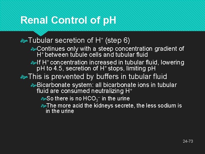 Renal Control of p. H Tubular secretion of H+ (step 6) Continues only with