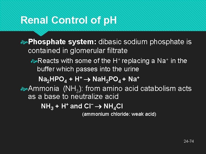 Renal Control of p. H Phosphate system: dibasic sodium phosphate is contained in glomerular