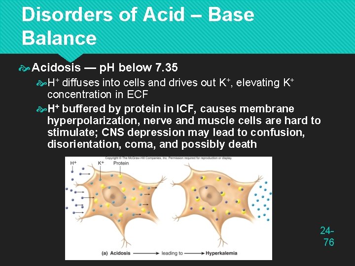 Disorders of Acid – Base Balance Acidosis — p. H below 7. 35 H+